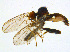  ( - BIOUG14581-F07)  @13 [ ] CreativeCommons - Attribution Non-Commercial Share-Alike (2011) M. Alex Smith University of Guelph