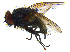  ( - BIOUG14581-G11)  @15 [ ] CreativeCommons - Attribution Non-Commercial Share-Alike (2011) M. Alex Smith University of Guelph