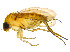  ( - BIOUG14582-B03)  @13 [ ] CreativeCommons - Attribution Non-Commercial Share-Alike (2011) M. Alex Smith University of Guelph