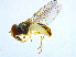 ( - BIOUG14582-D04)  @14 [ ] CreativeCommons - Attribution Non-Commercial Share-Alike (2011) M. Alex Smith University of Guelph