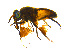  ( - BIOUG14582-E06)  @13 [ ] CreativeCommons - Attribution Non-Commercial Share-Alike (2011) M. Alex Smith University of Guelph