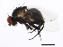  ( - BIOUG01409-D02)  @13 [ ] CreativeCommons - Attribution (2012) CBG Photography Group Centre for Biodiversity Genomics