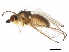  ( - BIOUG01410-A11)  @14 [ ] CreativeCommons - Attribution (2012) CBG Photography Group Centre for Biodiversity Genomics