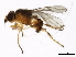  ( - BIOUG01410-E08)  @12 [ ] CreativeCommons - Attribution (2012) CBG Photography Group Centre for Biodiversity Genomics