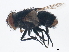  ( - BIOUG01359-G07)  @12 [ ] CreativeCommons - Attribution (2012) CBG Photography Group Centre for Biodiversity Genomics