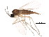  ( - BIOUG01389-H11)  @14 [ ] CreativeCommons - Attribution (2012) CBG Photography Group Centre for Biodiversity Genomics