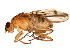  ( - BIOUG01402-D05)  @14 [ ] CreativeCommons - Attribution (2012) CBG Photography Group Centre for Biodiversity Genomics