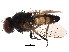  ( - BIOUG01402-D09)  @13 [ ] CreativeCommons - Attribution (2012) CBG Photography Group Centre for Biodiversity Genomics