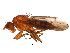  ( - BIOUG01402-F05)  @12 [ ] CreativeCommons - Attribution (2012) CBG Photography Group Centre for Biodiversity Genomics