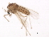  ( - BIOUG01403-C03)  @13 [ ] CreativeCommons - Attribution (2012) CBG Photography Group Centre for Biodiversity Genomics
