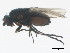  ( - BIOUG01403-F04)  @13 [ ] CreativeCommons - Attribution (2012) CBG Photography Group Centre for Biodiversity Genomics