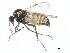  ( - BIOUG01403-G06)  @14 [ ] CreativeCommons - Attribution (2012) CBG Photography Group Centre for Biodiversity Genomics