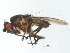  ( - BIOUG01403-H01)  @14 [ ] CreativeCommons - Attribution (2012) CBG Photography Group Centre for Biodiversity Genomics
