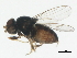  ( - BIOUG01403-H11)  @13 [ ] CreativeCommons - Attribution (2012) CBG Photography Group Centre for Biodiversity Genomics