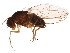  ( - BIOUG01406-A11)  @12 [ ] CreativeCommons - Attribution (2012) CBG Photography Group Centre for Biodiversity Genomics