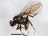  (Xenolimosina - BIOUG01406-B03)  @14 [ ] CreativeCommons - Attribution (2012) CBG Photography Group Centre for Biodiversity Genomics