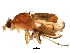  ( - BIOUG01408-A11)  @14 [ ] CreativeCommons - Attribution (2012) CBG Photography Group Centre for Biodiversity Genomics
