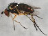  ( - BIOUG01408-H08)  @13 [ ] CreativeCommons - Attribution (2012) CBG Photography Group Centre for Biodiversity Genomics
