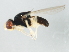  ( - BIOUG01410-C07)  @12 [ ] CreativeCommons - Attribution (2012) CBG Photography Group Centre for Biodiversity Genomics