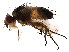  ( - BIOUG01422-A06)  @12 [ ] CreativeCommons - Attribution (2012) CBG Photography Group Centre for Biodiversity Genomics