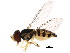  ( - BIOUG01422-D02)  @14 [ ] CreativeCommons - Attribution (2012) CBG Photography Group Centre for Biodiversity Genomics