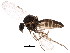  ( - BIOUG01423-C04)  @14 [ ] CreativeCommons - Attribution (2012) CBG Photography Group Centre for Biodiversity Genomics