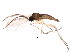  ( - BIOUG01423-C05)  @12 [ ] CreativeCommons - Attribution (2012) CBG Photography Group Centre for Biodiversity Genomics