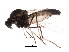  ( - BIOUG01423-D02)  @12 [ ] CreativeCommons - Attribution (2012) CBG Photography Group Centre for Biodiversity Genomics