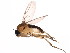  ( - BIOUG01423-H03)  @13 [ ] CreativeCommons - Attribution (2012) CBG Photography Group Centre for Biodiversity Genomics
