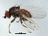  ( - BIOUG01426-B05)  @12 [ ] CreativeCommons - Attribution (2012) CBG Photography Group Centre for Biodiversity Genomics
