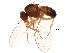 ( - BIOUG01426-H07)  @14 [ ] CreativeCommons - Attribution (2012) CBG Photography Group Centre for Biodiversity Genomics