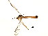  ( - BIOUG01427-G09)  @13 [ ] CreativeCommons - Attribution (2012) CBG Photography Group Centre for Biodiversity Genomics