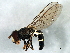  ( - BIOUG01428-F02)  @12 [ ] CreativeCommons - Attribution (2012) CBG Photography Group Centre for Biodiversity Genomics