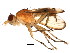  ( - BIOUG01459-H03)  @14 [ ] CreativeCommons - Attribution (2012) CBG Photography Group Centre for Biodiversity Genomics