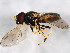 ( - BIOUG01475-F10)  @13 [ ] CreativeCommons - Attribution (2012) CBG Photography Group Centre for Biodiversity Genomics