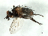  ( - BIOUG01544-C10)  @12 [ ] CreativeCommons - Attribution (2012) CBG Photography Group Centre for Biodiversity Genomics