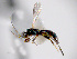  ( - Cham-0027)  @12 [ ] Unspecified (default): All Rights Reserved  Unspecified Unspecified