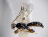  (Iare - Cham-0029)  @15 [ ] Unspecified (default): All Rights Reserved  Unspecified Unspecified