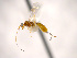  (Neoheterospilus - Cham-0053)  @13 [ ] Unspecified (default): All Rights Reserved  Unspecified Unspecified