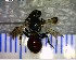  ( - BIOUG07489-H08)  @12 [ ] CreativeCommons - Attribution (2013) Caitlin Paterson Centre for Biodiversity Genomics