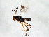  ( - ASGLE2-0193)  @12 [ ] CreativeCommons - Attribution (2011) CBG Photography Group Centre for Biodiversity Genomics
