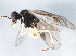  ( - ASGLE2-0282)  @13 [ ] CreativeCommons - Attribution (2011) CBG Photography Group Centre for Biodiversity Genomics