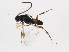  ( - BIOUG00988-D09)  @12 [ ] CreativeCommons - Attribution (2011) CBG Photography Group Centre for Biodiversity Genomics