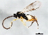 ( - BIOUG00989-E09)  @14 [ ] CreativeCommons - Attribution (2011) CBG Photography Group Centre for Biodiversity Genomics