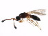  ( - BIOUG00991-E01)  @13 [ ] CreativeCommons - Attribution (2011) CBG Photography Group Centre for Biodiversity Genomics