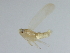  ( - BIOUG00783-G05)  @13 [ ] CreativeCommons - Attribution (2011) CBG Photography Group Centre for Biodiversity Genomics