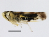  ( - BIOUG00783-H04)  @13 [ ] CreativeCommons - Attribution (2011) CBG Photography Group Centre for Biodiversity Genomics