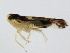  ( - BIOUG00783-H07)  @12 [ ] CreativeCommons - Attribution (2011) CBG Photography Group Centre for Biodiversity Genomics