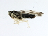  ( - BIOUG00936-A03)  @12 [ ] CreativeCommons - Attribution (2011) CBG Photography Group Centre for Biodiversity Genomics