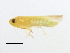  ( - BIOUG00936-E03)  @13 [ ] CreativeCommons - Attribution (2011) CBG Photography Group Centre for Biodiversity Genomics